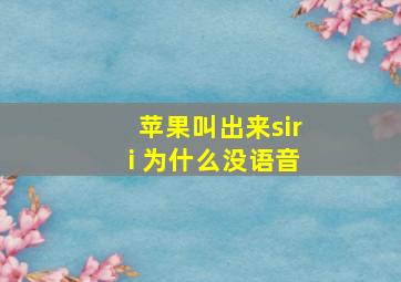 苹果叫出来siri 为什么没语音